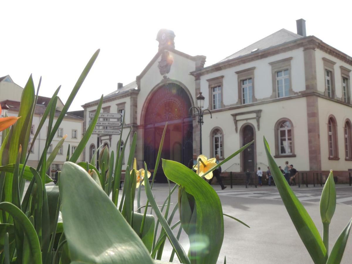 Appart'Azur Haguenau - Centre Grand'Rue - Logements Entiers Pour Voyageur Pro Luaran gambar