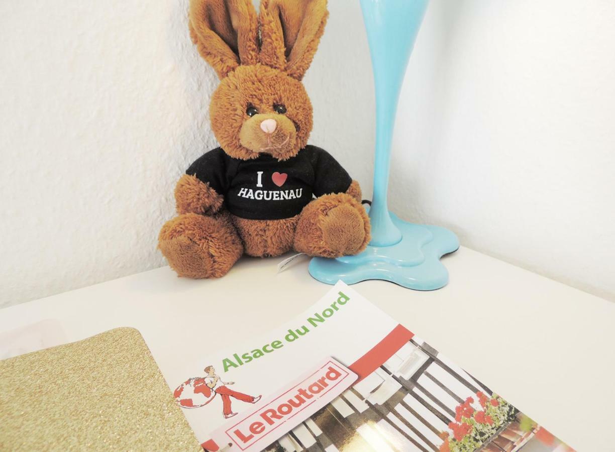 Appart'Azur Haguenau - Centre Grand'Rue - Logements Entiers Pour Voyageur Pro Luaran gambar
